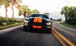 Shelby GT-S 2019 года